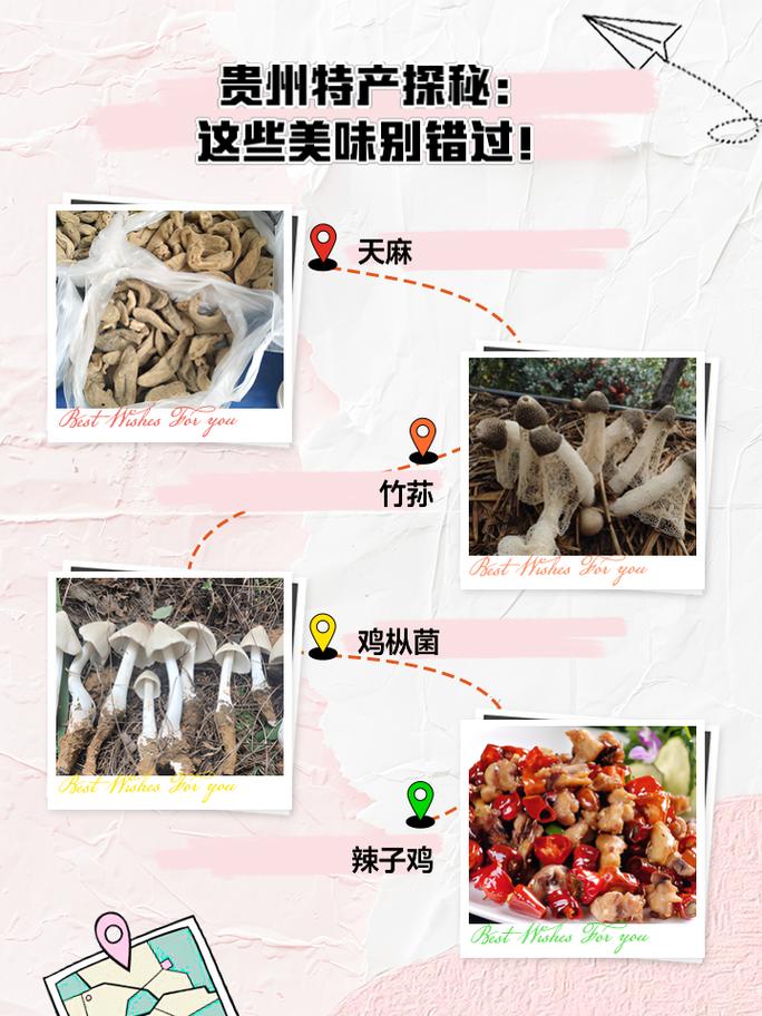 地方美食特产？地方美食特产盈利模式概述？  第2张