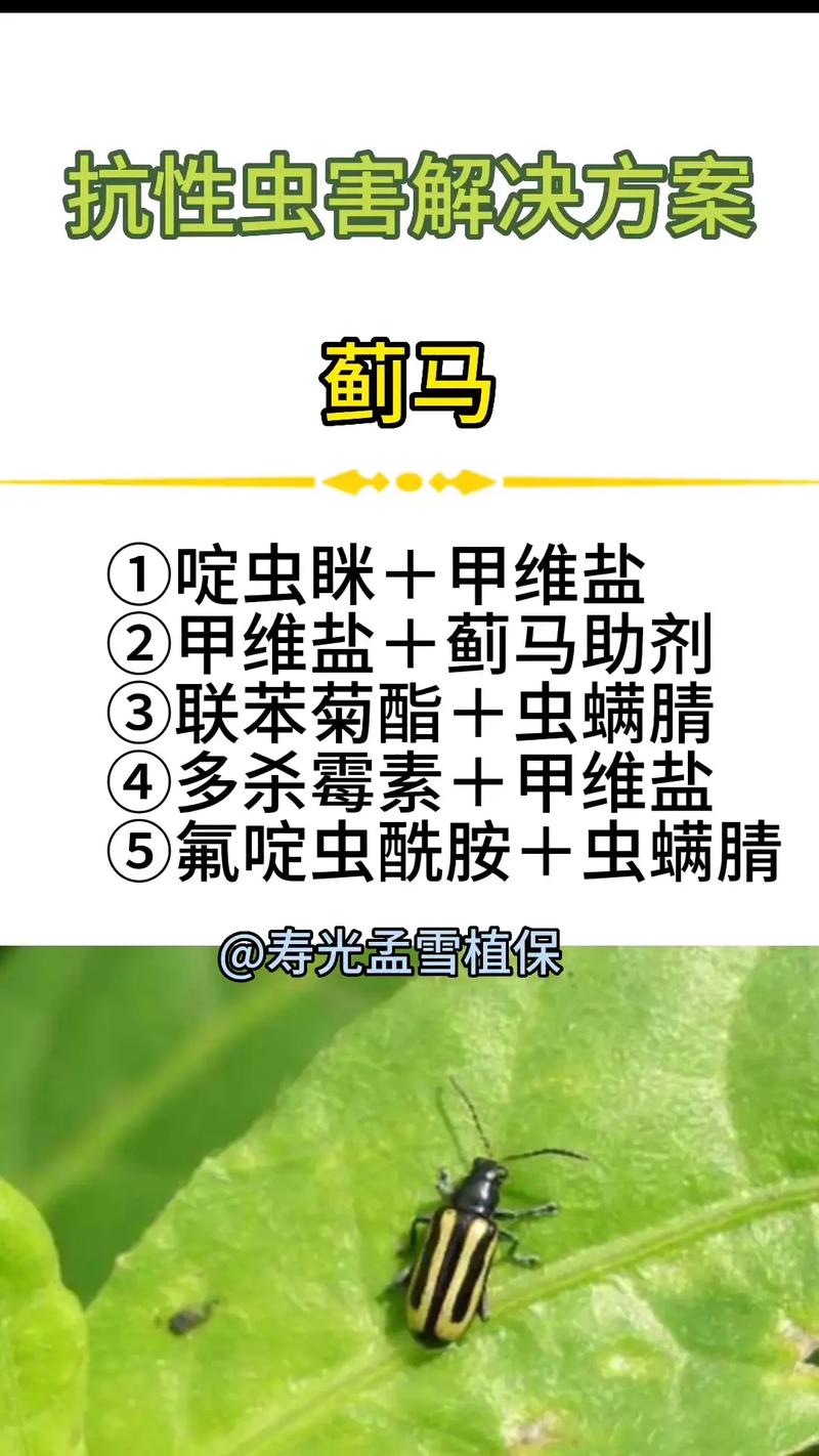 余江区天气预报漓江，余江天气在线？  第4张