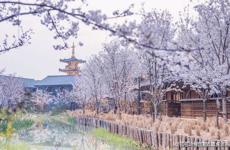 太湖天气30天预报，太湖未来十天天气预报？  第2张