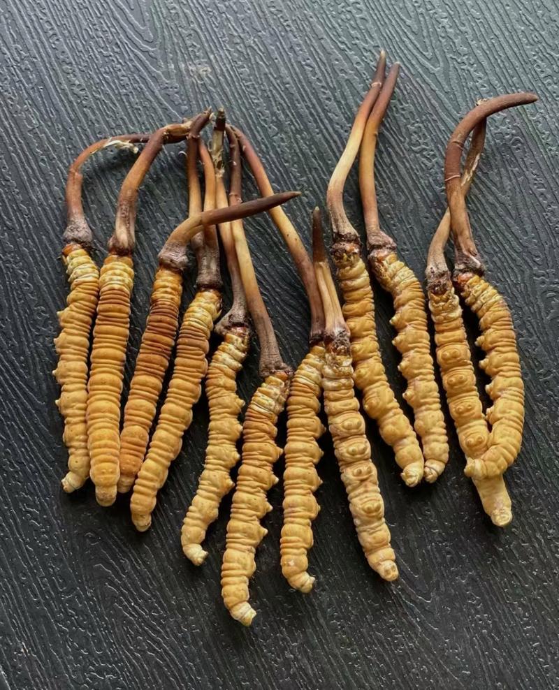 西藏的特色美食土特产？西藏有啥好吃的土特产？  第3张