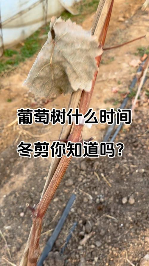 平阴县具体天气预报，平阴县天气预报实时  第4张