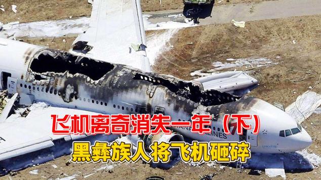 飞机灵异事件真实视频，飞机灵异事件真实案例大全？  第1张
