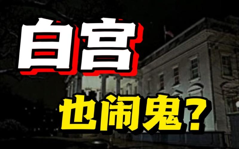 飞机灵异事件真实视频，飞机灵异事件真实案例大全？  第5张