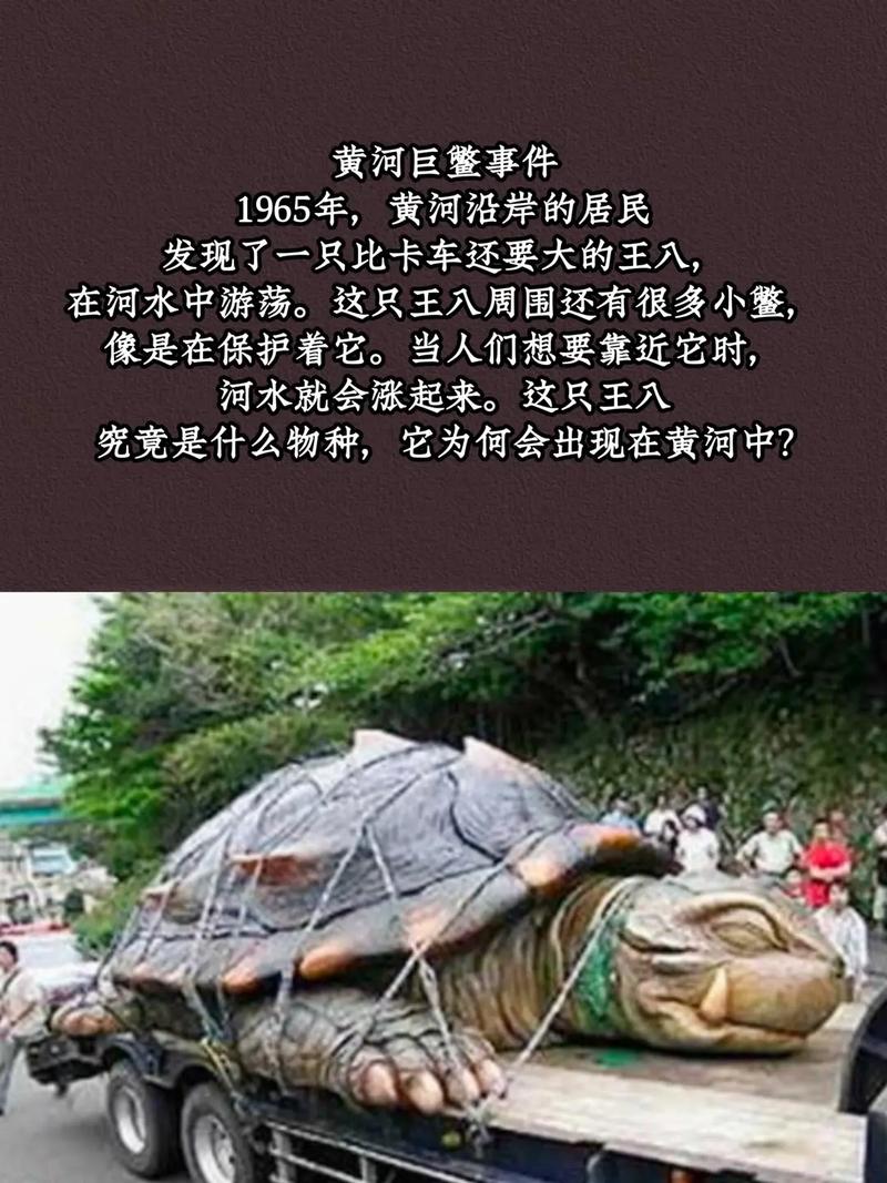 电梯老太太灵异事件，电梯 灵异？  第4张