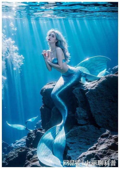 世界上有没有美人鱼(真正答案)，世界上有没有美人鱼?是怎样的图片？  第3张