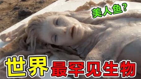 世界上有没有美人鱼(真正答案)，世界上有没有美人鱼?是怎样的图片？  第6张