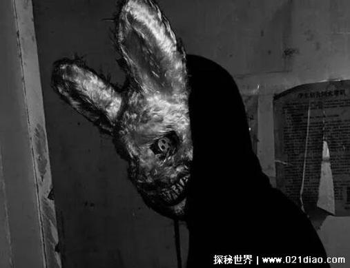 中国恐怖兔人，恐怖兔人到底是谁是  第1张