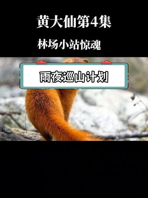 南京5路车灵异事件，南京375公交灵异案件  第4张