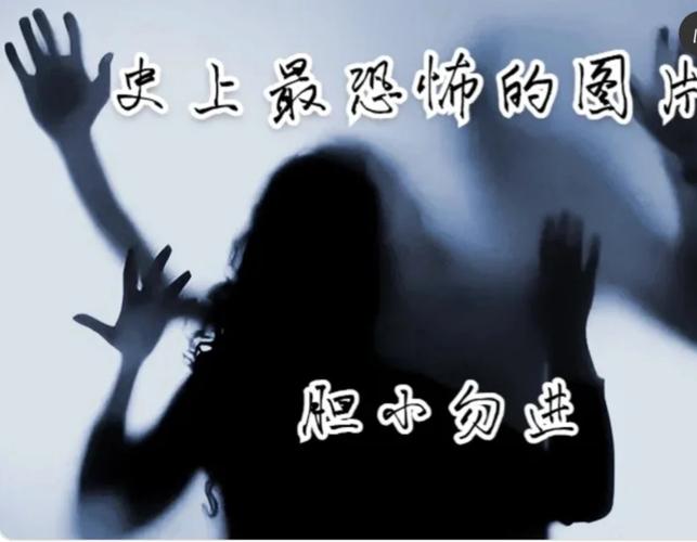 全球恐怖网站，著名恐怖网站？  第2张
