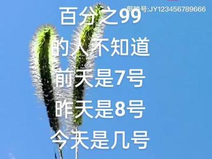 明天几号，明天几号立春？  第3张