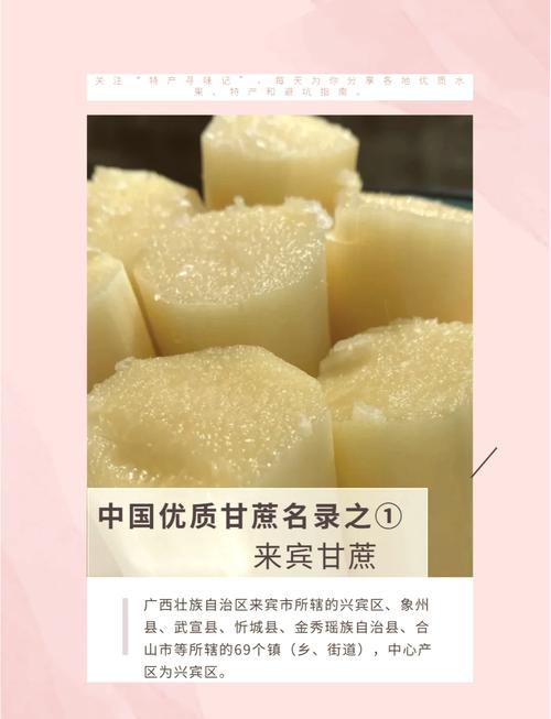 广西特产家禽美食介绍，广西农家特产  第5张