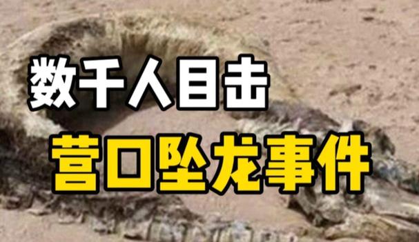 营川坠龙事件是否真实？关于营川坠龙的小说？  第1张