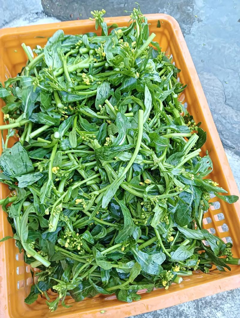 融水美食特产介绍，融水的美食有什么？  第6张