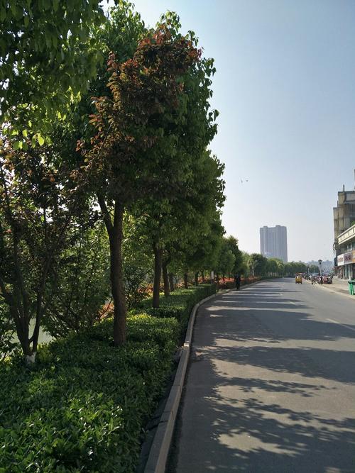 沭阳天气预报连云港？江苏宿迁沭阳天气预报一周？  第6张