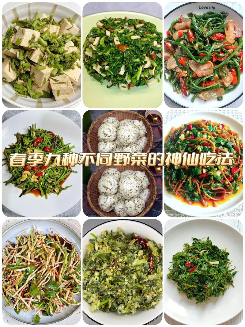 四川春天野菜美食推荐，四川野菜名字大全？  第2张