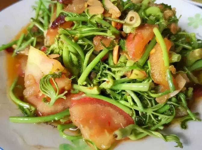 四川春天野菜美食推荐，四川野菜名字大全？  第4张