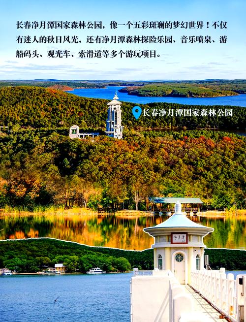 双阳天气预报40天？双阳天气预报40天查询结果？  第3张