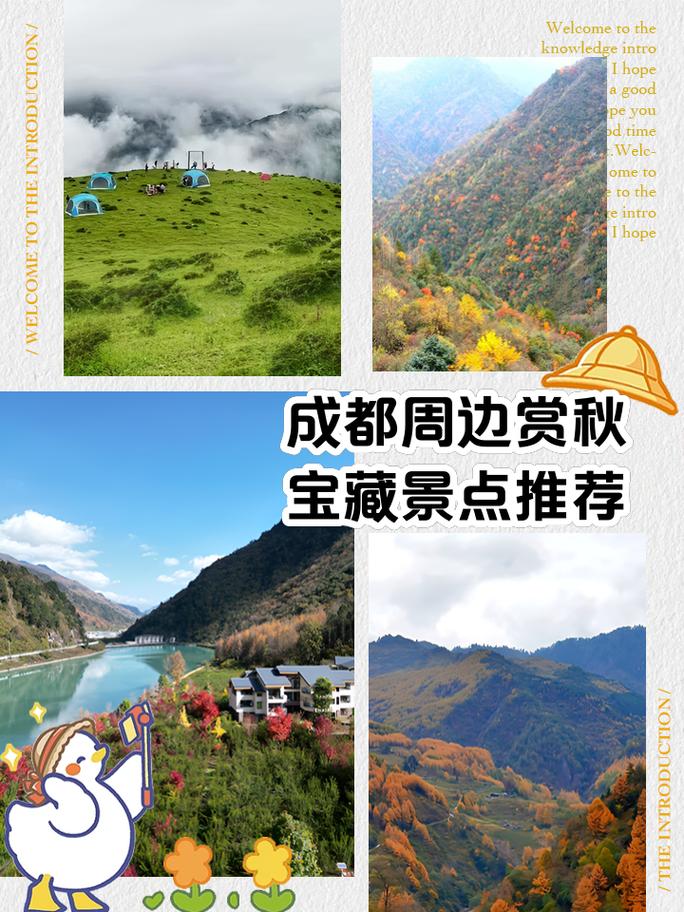 成都小吃美食滤镜，成都美食小吃推荐？  第6张