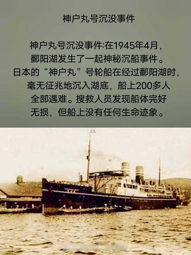 黄金巨蛇事件？黄金巨蟒咬人的图片？  第5张