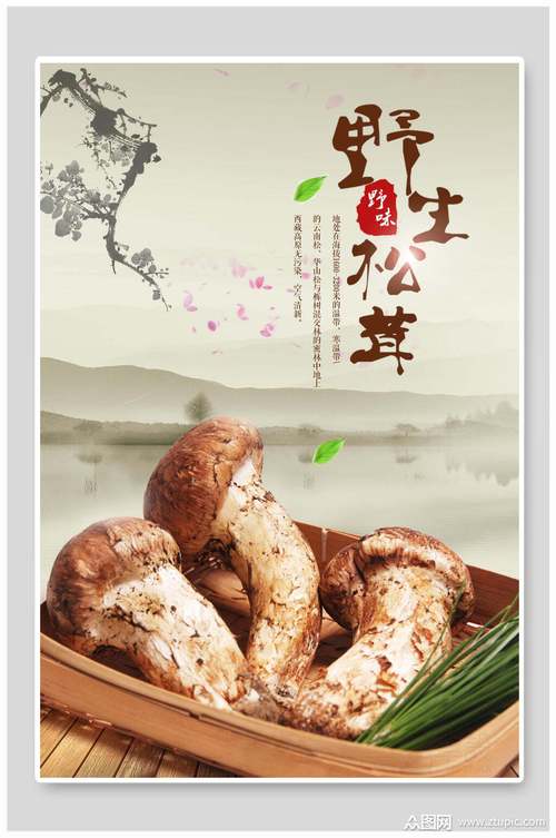 地方美食特产优选活动，特色美食推广方案？  第4张