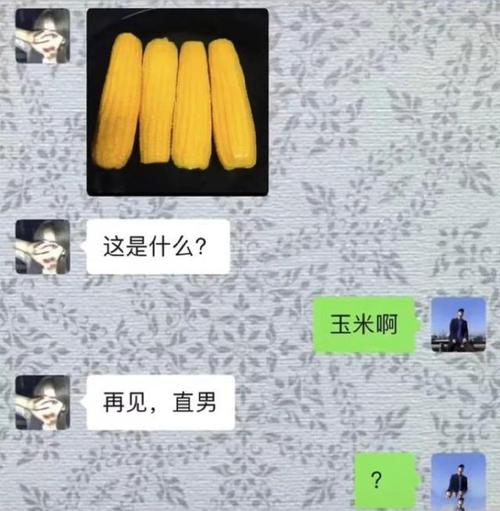 玉米男孩和芝麻女孩的故事，玉米男孩和芝麻女孩的爱情故事？  第3张