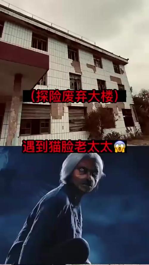 猫脸老太太结局剧情解析，猫脸老太太真实事件结局？  第3张