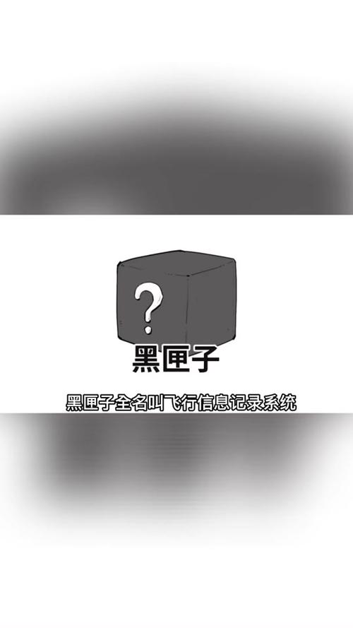 东航坠机黑匣子破译结果，东航坠机黑匣子破译结果5735破解了吗?  第3张