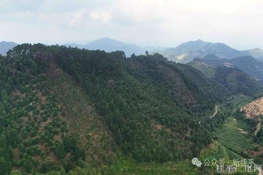 广西桂平中沙镇天气，广西桂平市中沙镇卫星地图？  第5张