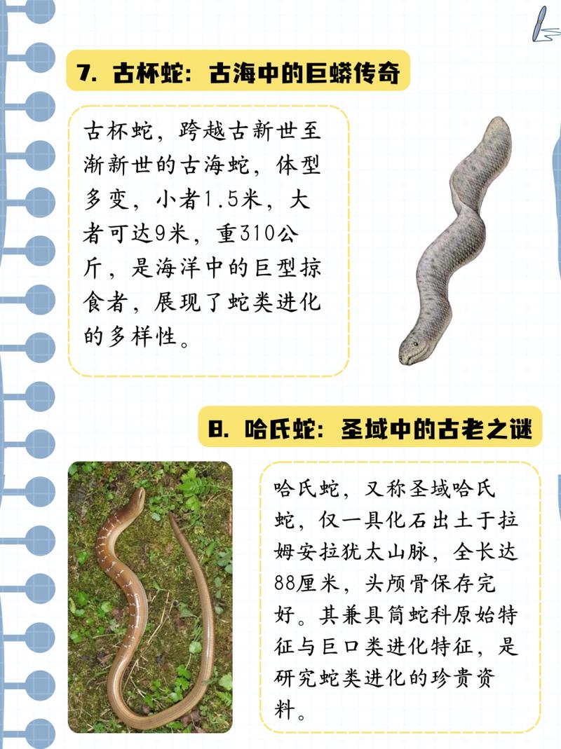 已灭绝的前十恐怖动物？十种已经灭绝的可怕动物？  第6张