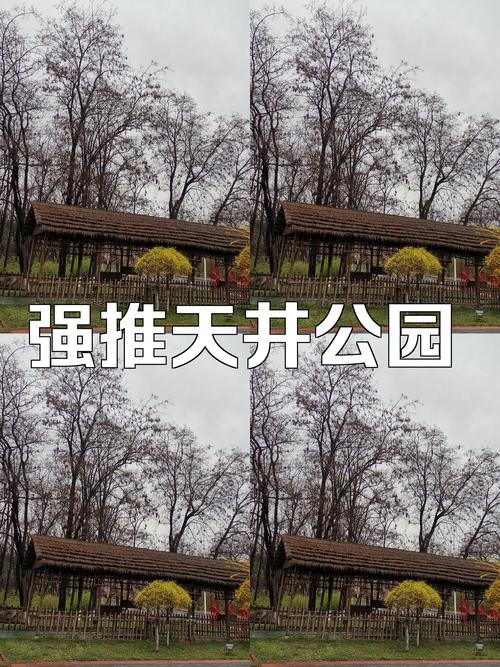 五河天井湖天气预报，五河tianqi  第6张