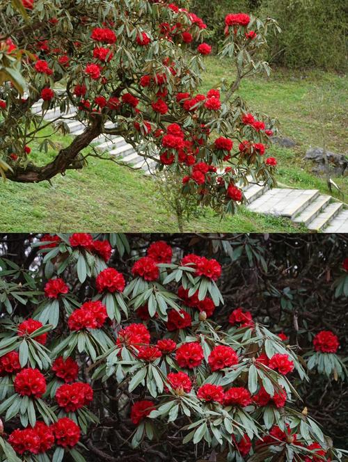 毕节12月天气预报，毕节十一月份天气预报  第5张