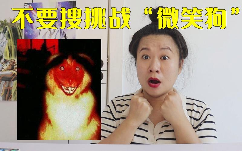 微笑狗事件死了多少人，微笑狗事件是什么  第1张