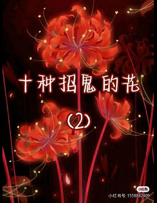 家中有鬼的征兆七件事？家里有鬼的五大征兆是真的吗？  第2张