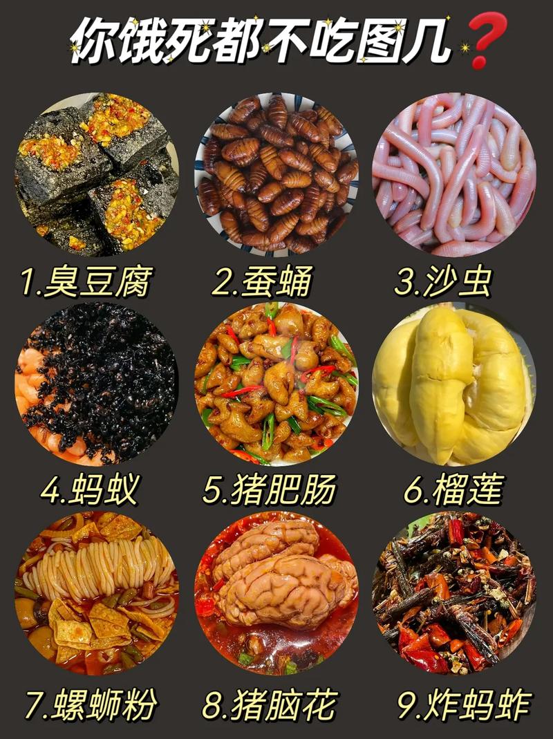 成都土耳其特色美食，成都小土耳其？  第5张