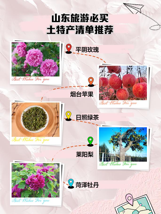 介绍特产山东美食，介绍山东特色  第2张