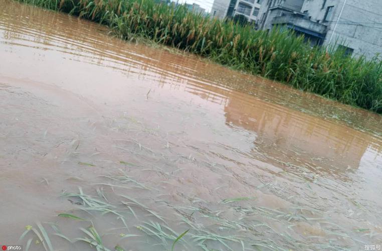遂川半个月天气预报？遂川15天气预报？  第1张