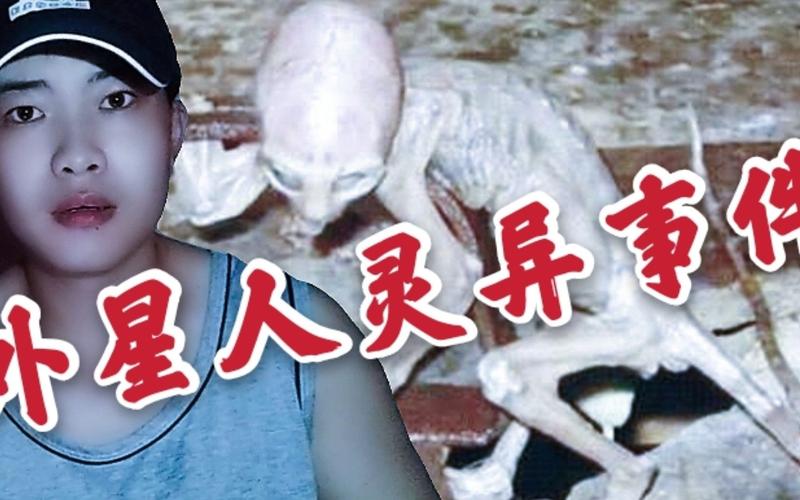 发现外星人的事件？发现外星人的事件视频？  第1张