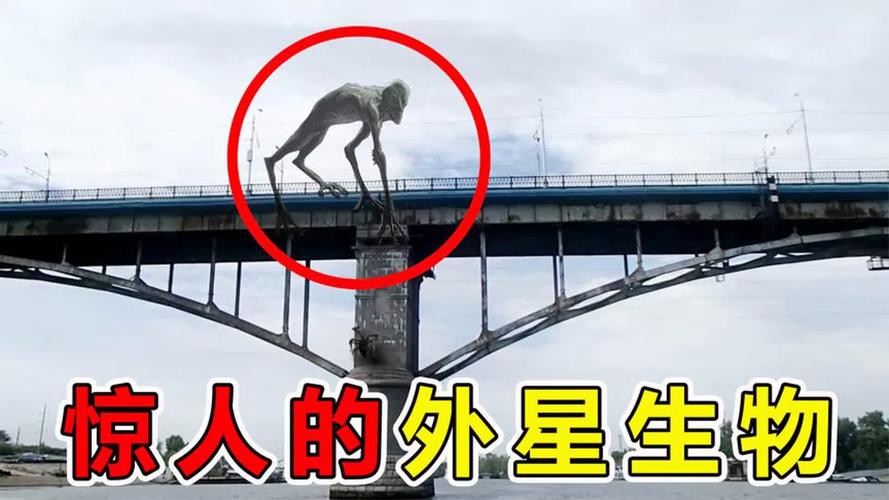 发现外星人的事件？发现外星人的事件视频？  第2张