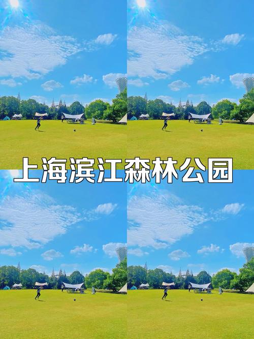 杨浦区天气预报详情，杨浦天气预报24小时详情？  第6张