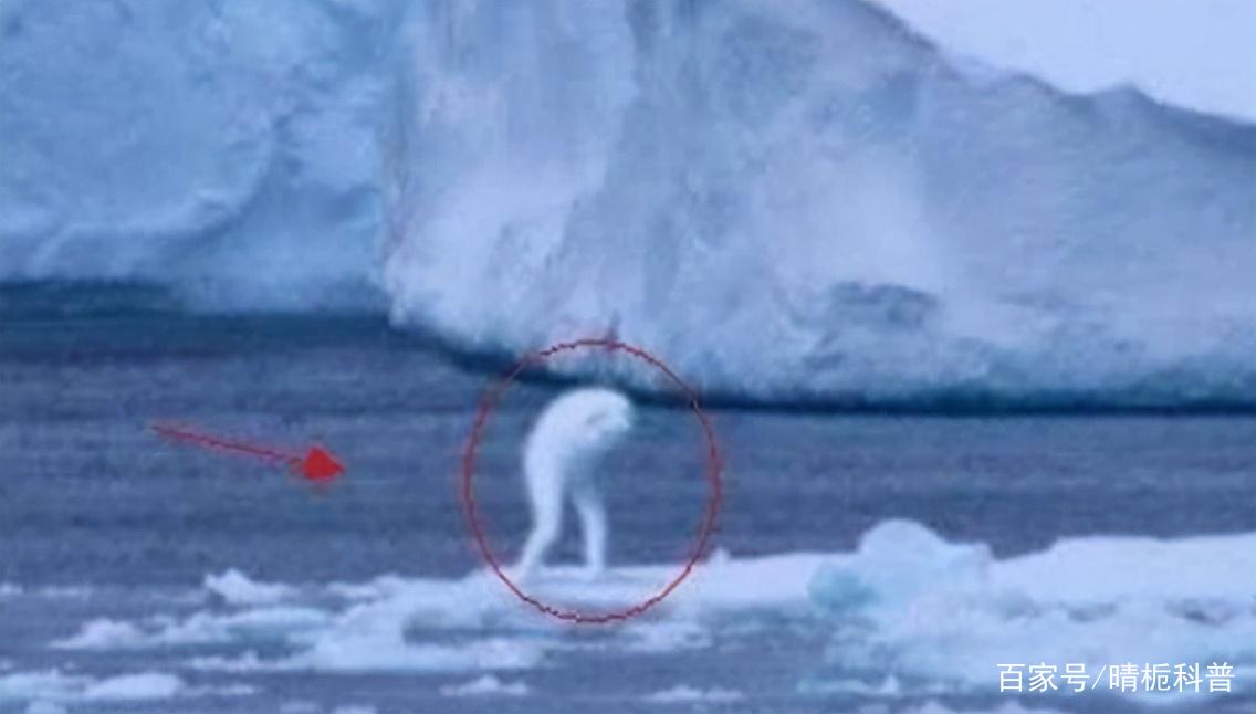 世界前十神秘生物图片？世界上的前十神秘生物是什么？  第3张
