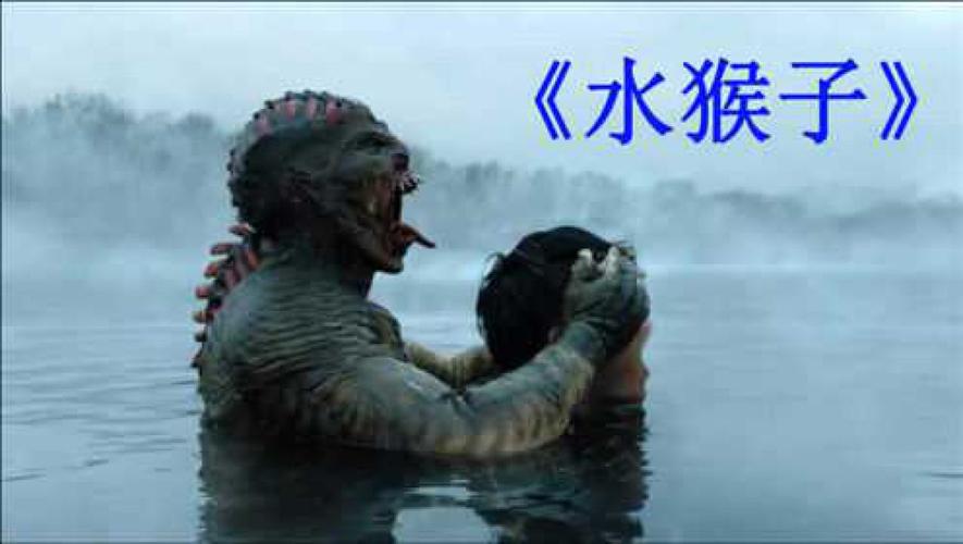 水猴子什么梗，水猴子是什么玩意  第4张