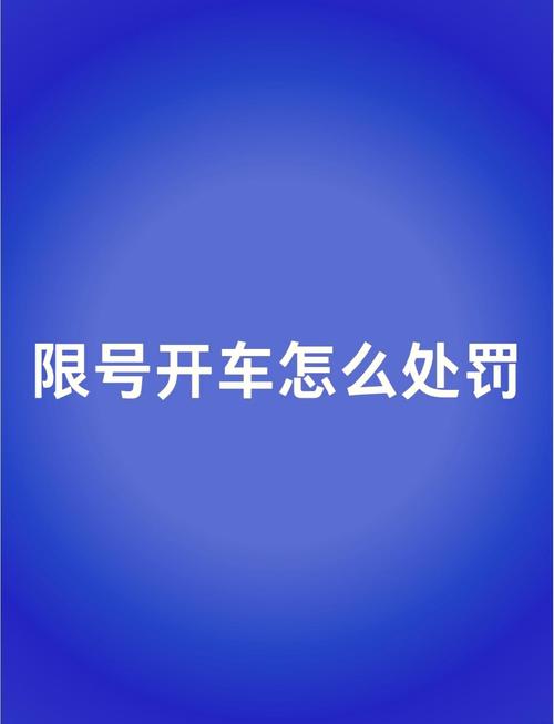 限行处罚标准？广州外地车限行处罚标准？  第5张
