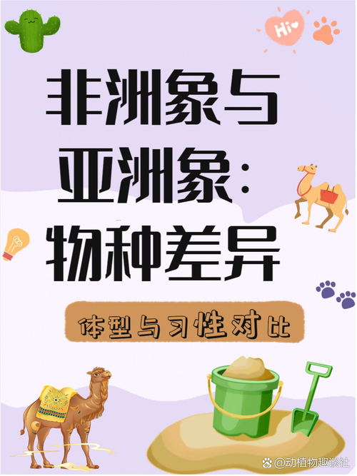 非洲象人族是吃什么的，非洲象人族吃什么野生植物?  第4张