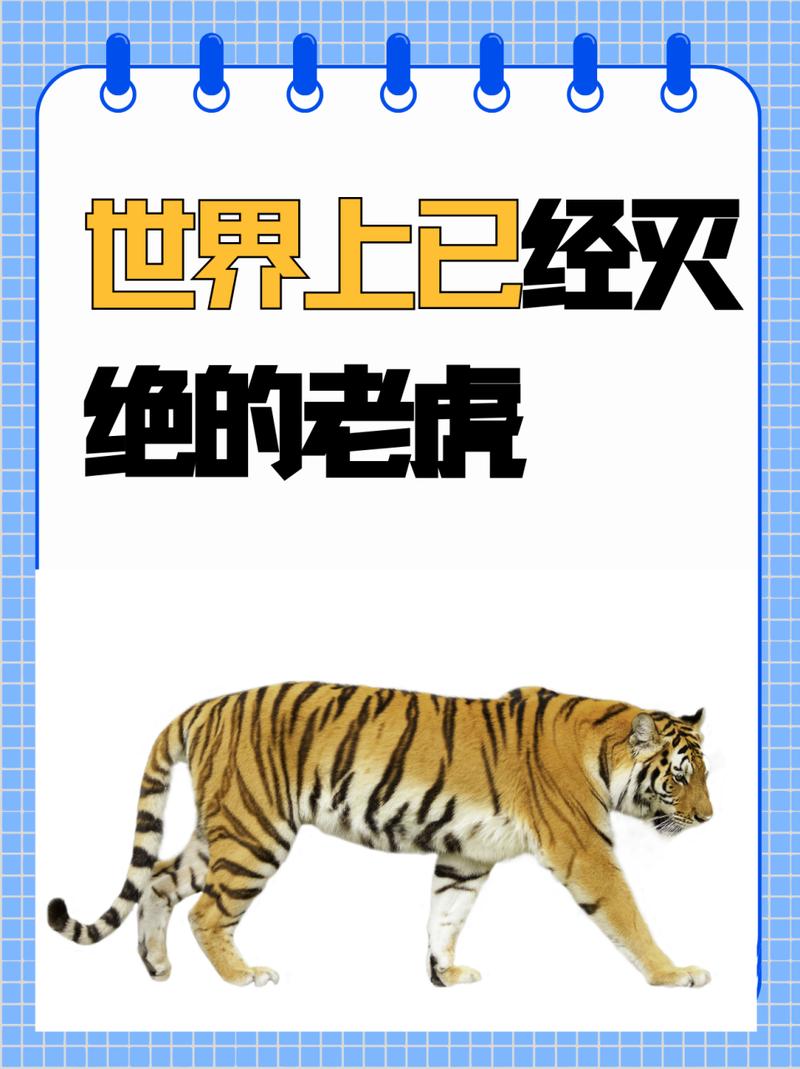 巴厘虎灭绝了没有，巴厘虎已经灭绝了吗？  第1张