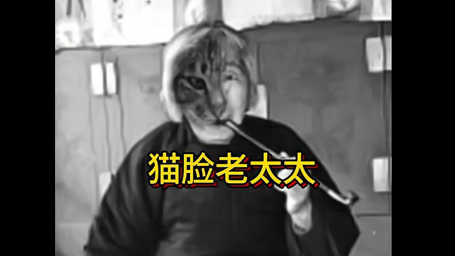 猫脸老太太事件真的存在吗，猫脸老太太科学解释  第3张