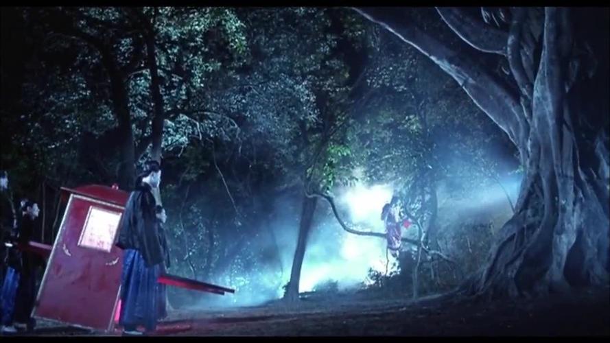 1995成都武侯祠事件？1995年成都武侯祠事件？  第3张