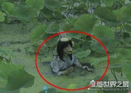 真正水鬼的图片，真正的水鬼长啥样？  第4张