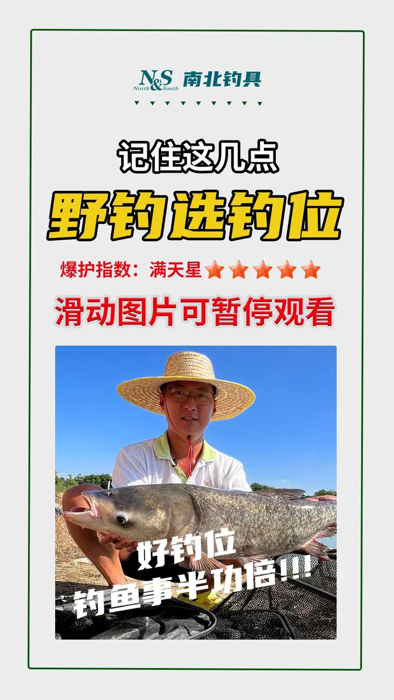 林口县天气预报今天，林口县今天天气怎么样？  第2张