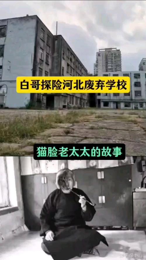 猫脸老太太视频免费，猫脸老太太完整版在线  第2张