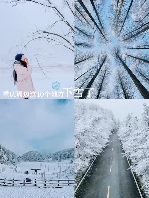 北碚区天气预报30，北碚区天气预报40天精准？  第4张